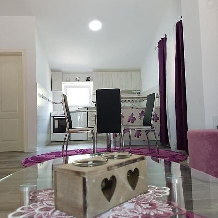 Apartment Jelena Sutvara Kotor Dış mekan fotoğraf