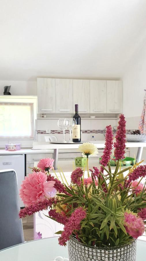 Apartment Jelena Sutvara Kotor Dış mekan fotoğraf