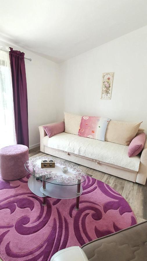 Apartment Jelena Sutvara Kotor Dış mekan fotoğraf